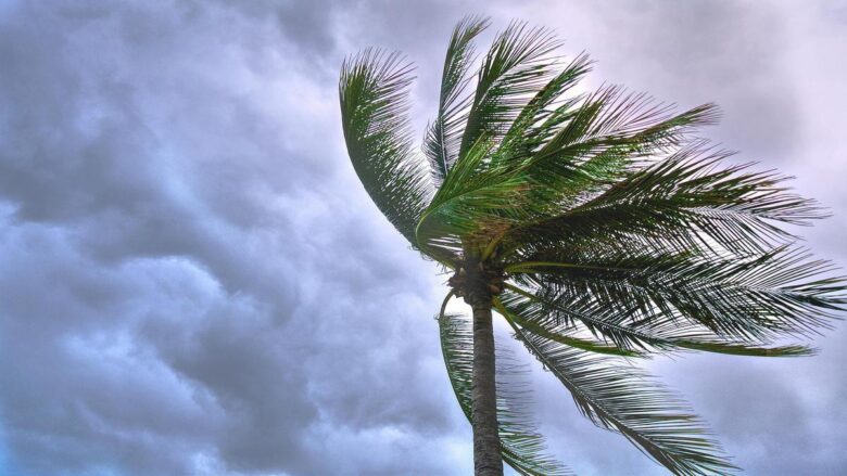 automacao-climatica-dicas-infaliveis-para-cada-estacao-do-ano